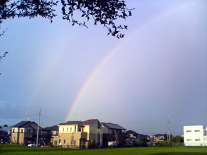 虹の画像